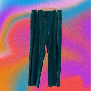 Pacer by Karen Scott Teal Velour Pants